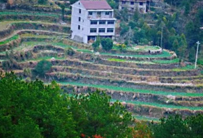 ​练瑜伽的最佳时间及注意事项