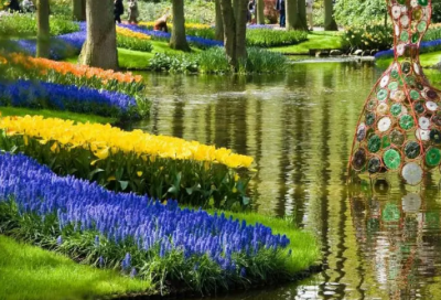 ​锲而不舍相关造句锦集