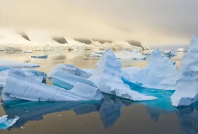 ​有关“尊严”的经典格言