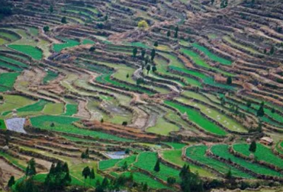 ​元宵字谜语及*