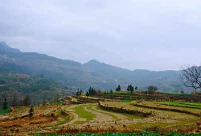 ​感谢朋友请吃饭的话