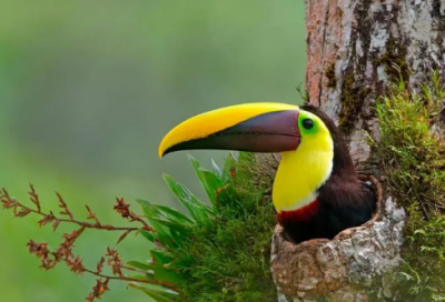 ​小学生暑假期安全教育