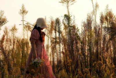 ​写给对象情话