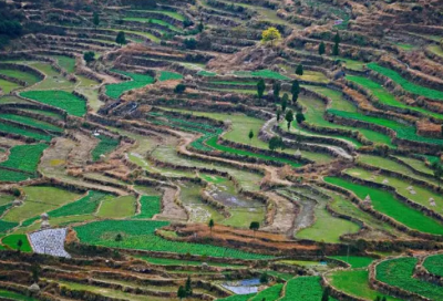 ​《父爱陷阱》原文阅读