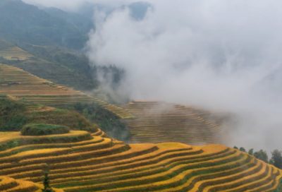 ​肚子怎么减_瘦肚子最有效的方法