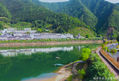 ​王冕僧寺夜读原文注释及译文