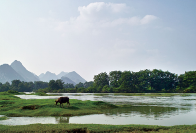 ​《岳飞》文言文原文和译文