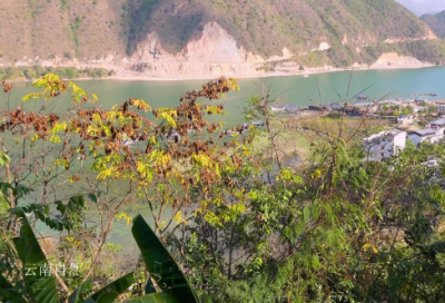 ​商鞅立信原文翻译及练习