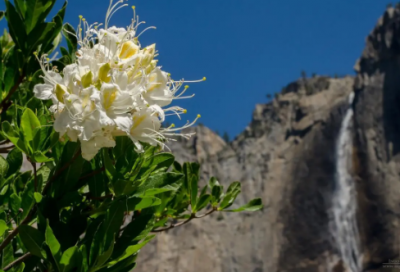 ​墓碑七字对联