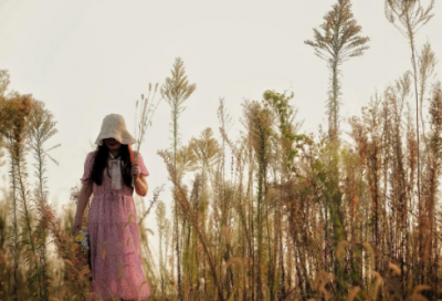 ​优秀句子摘抄大全20字