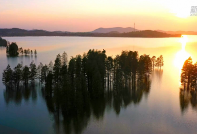 ​最经典的笑话