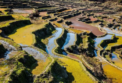 ​有关市场督导工作职责