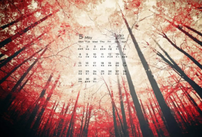 ​合作意向书范本