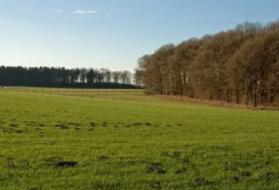 ​《论语》十则全文和译文