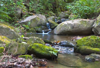 ​《泊秦淮》原文翻译及赏析