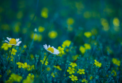 ​感恩父亲节的一段话