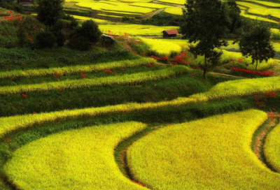 ​《春山夜月》翻译及赏析