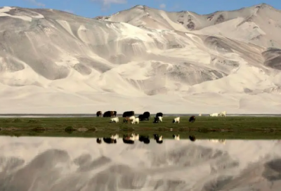 ​幽默搞笑的中秋祝福语