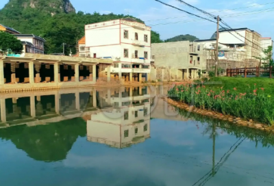 ​五年级《梅花魂》课文内容