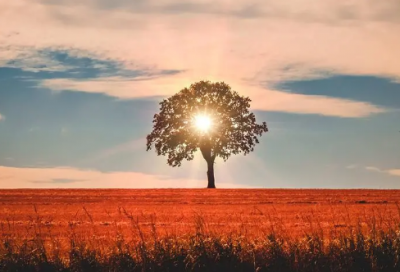 ​局外人的经典语录