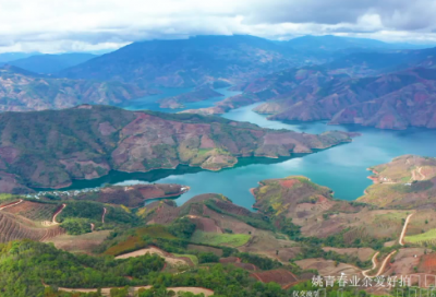 ​《赠花卿·锦城丝管日纷纷》翻译赏析