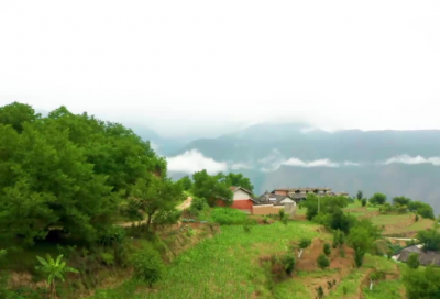 ​百家姓排名第一的是谁