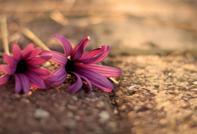 ​清明节网上祭英烈留言寄语160句