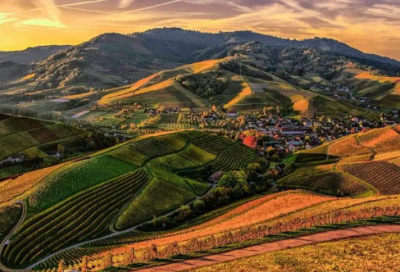 ​科比写给球迷的信及退役声明原文带翻译