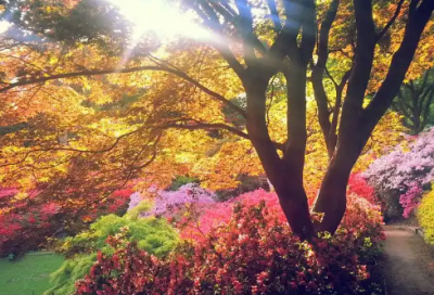 ​资金申请书格式范文