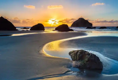 ​竞聘演讲稿 范文