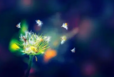 ​女网名唯美有气质符号汇总64个