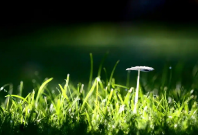 ​农村建房申请书范文