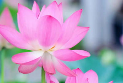 ​高一演讲稿范文