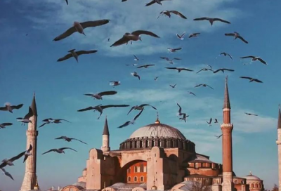 ​兄弟齐心31句