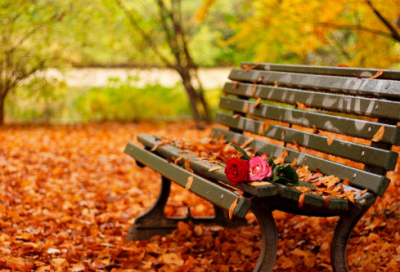 ​刘姓属猪男孩取名