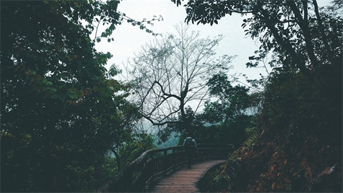 厦门天竺山森林公园