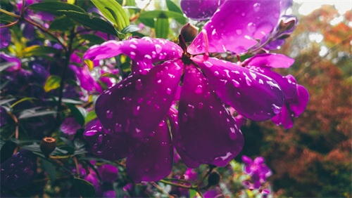 厦门天竺山森林公园