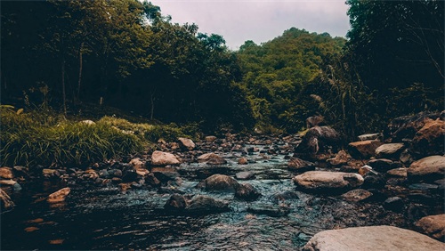 厦门天竺山森林公园