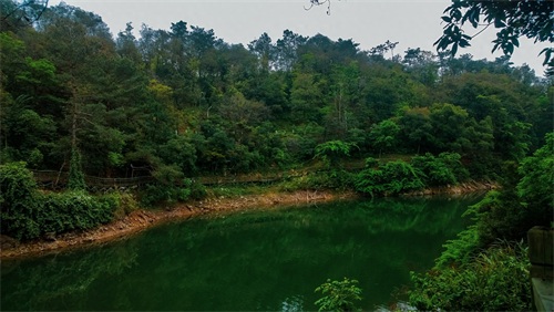 厦门天竺山森林公园