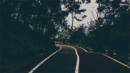 厦门天竺山森林公园