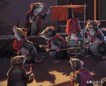 ​老鼠嫁女，智慧与勇气的胜利，“共创”才有美好未来