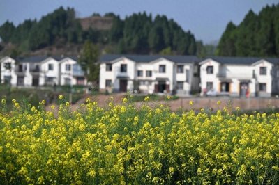 ​农民朋友，农村要统一规划建设住房？答案来了！