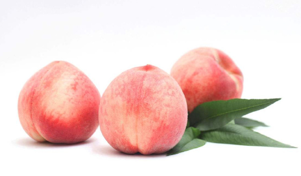 十大高营养的水果排行榜 营养价值最高的水果排名