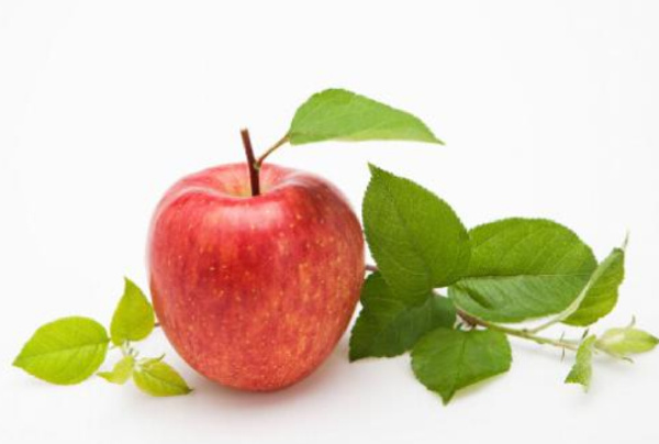 秋季十大时令水果排行榜 秋天当季水果盘点