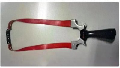 ​男子打死一只珠颈斑鸠被刑拘，涉非法捕杀一级保护动物引发热议