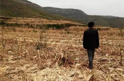 ​种地不赚钱，在家务农的农民咋办？以下三条路，你咋选？