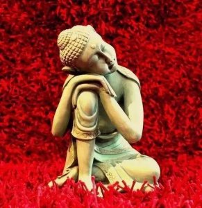 ​一花一叶禅意图片