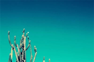 ​领导力，到底是什么？