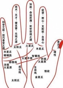 ​手相揭秘：从三个位置看出你的财运，快来对照看看！