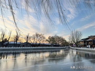 ​关注自心成长是捷径